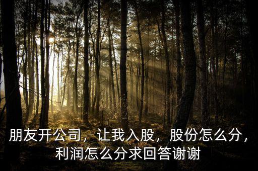 朋友開公司，讓我入股，股份怎么分，利潤怎么分求回答謝謝