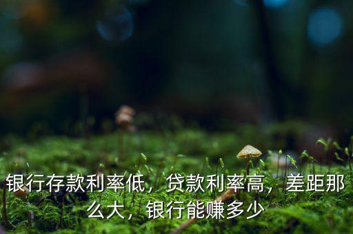 銀行存款利率低，貸款利率高，差距那么大，銀行能賺多少