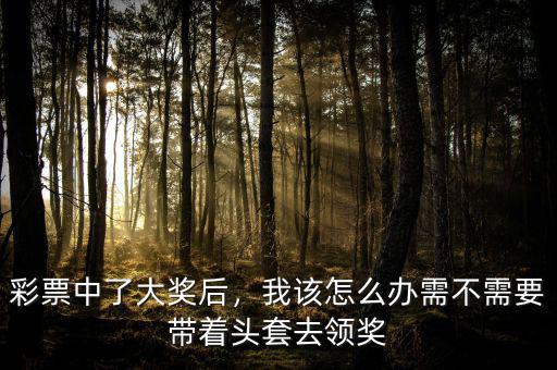 彩票中了大獎后，我該怎么辦需不需要帶著頭套去領(lǐng)獎