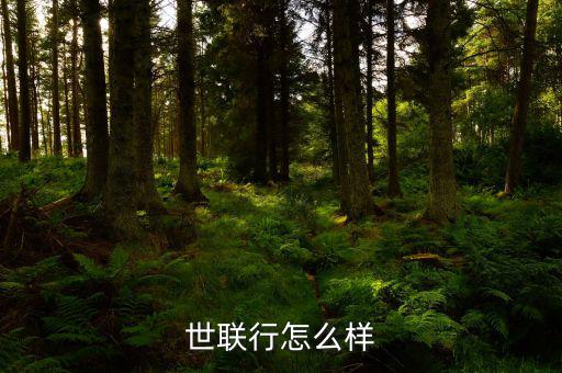 世聯(lián)行能給我?guī)?lái)什么,平凡可以給我們帶來(lái)什么