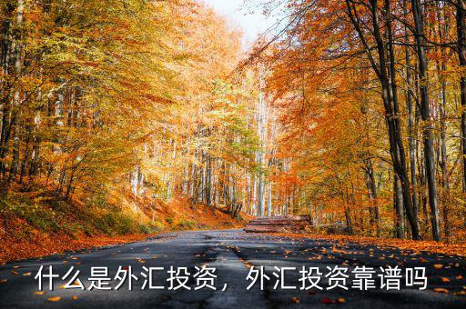 什么是外匯投資，外匯投資靠譜嗎