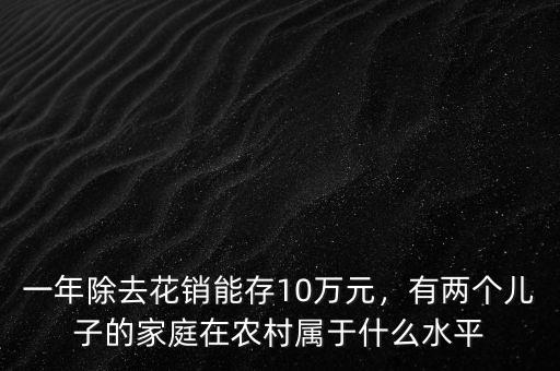 一年除去花銷能存10萬元，有兩個兒子的家庭在農(nóng)村屬于什么水平