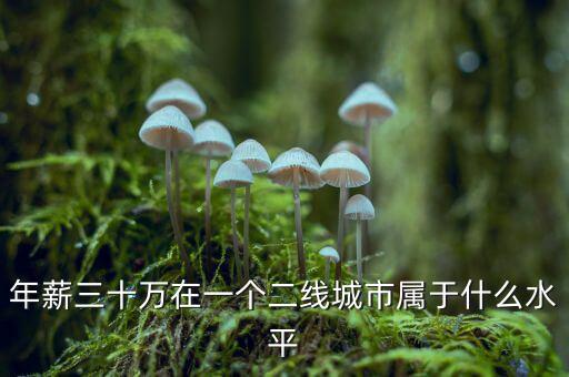 年薪三十萬在一個(gè)二線城市屬于什么水平