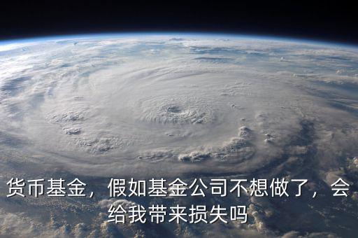 貨幣基金，假如基金公司不想做了，會(huì)給我?guī)頁p失嗎