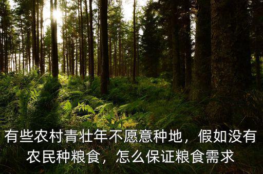 有些農(nóng)村青壯年不愿意種地，假如沒有農(nóng)民種糧食，怎么保證糧食需求