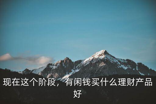 現(xiàn)在這個階段，有閑錢買什么理財產(chǎn)品好