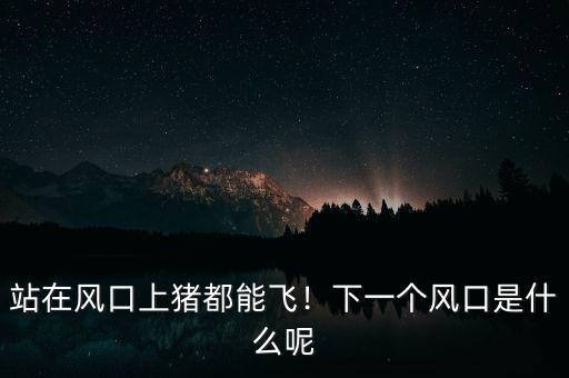 站在風口上豬都能飛！下一個風口是什么呢