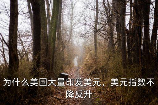為什么美國大量印發(fā)美元，美元指數(shù)不降反升
