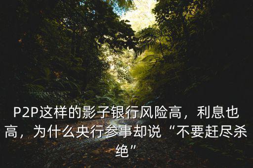 向影子銀行借錢有什么風險,什么是影子銀行