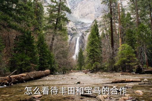 怎么看待豐田和寶馬的合作