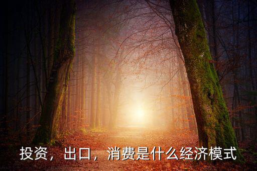 什么是消費投資模式,消費是什么經(jīng)濟(jì)模式