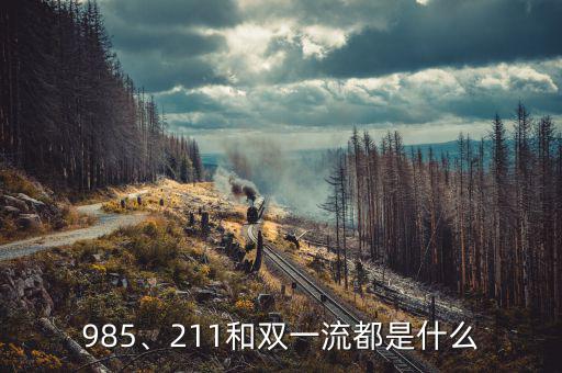985、211和雙一流都是什么