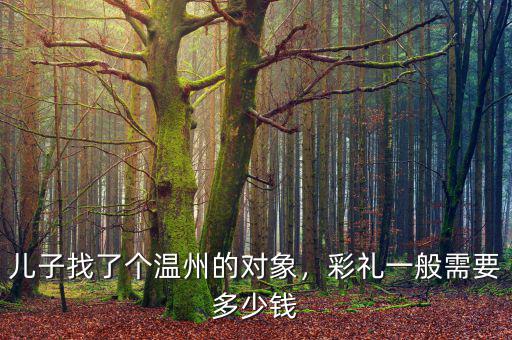 兒子找了個(gè)溫州的對(duì)象，彩禮一般需要多少錢(qián)