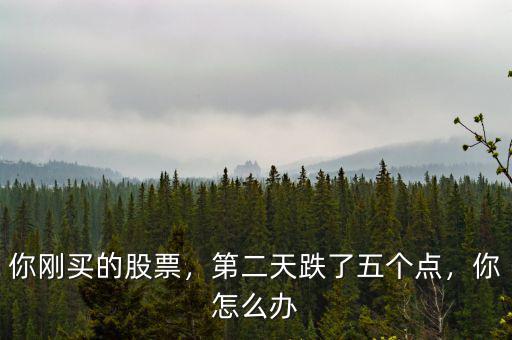 你剛買(mǎi)的股票，第二天跌了五個(gè)點(diǎn)，你怎么辦