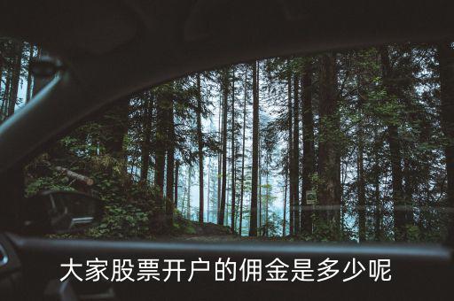 現(xiàn)在證券開(kāi)戶擁金多少,大家股票開(kāi)戶的傭金是多少呢