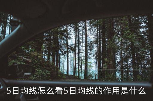 510天均線怎么看,5日均線怎么看