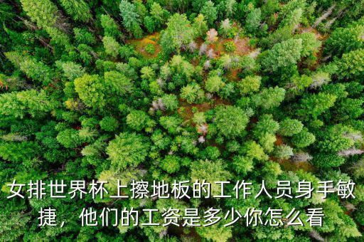 女排世界杯上擦地板的工作人員身手敏捷，他們的工資是多少你怎么看
