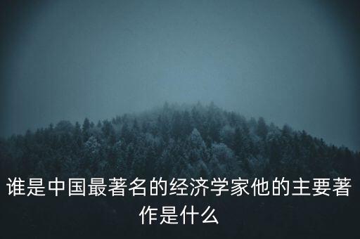 經濟學家是什么,誰是中國最著名的經濟學家