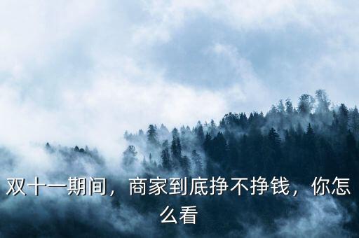 雙十一期間，商家到底掙不掙錢，你怎么看