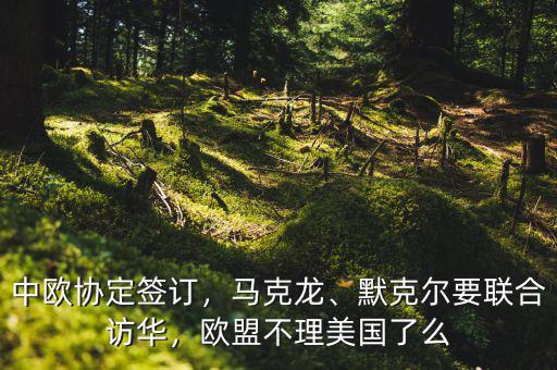 中歐協(xié)定簽訂，馬克龍、默克爾要聯(lián)合訪華，歐盟不理美國了么