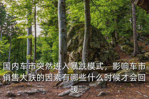 國內(nèi)車市突然進(jìn)入暴跌模式，影響車市銷售大跌的因素有哪些什么時候才會回暖