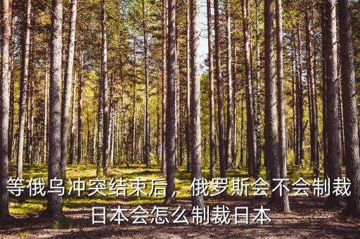 等俄烏沖突結(jié)束后，俄羅斯會(huì)不會(huì)制裁日本會(huì)怎么制裁日本