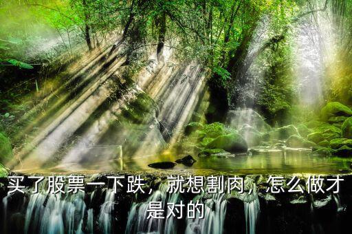 買了股票一下跌，就想割肉，怎么做才是對(duì)的