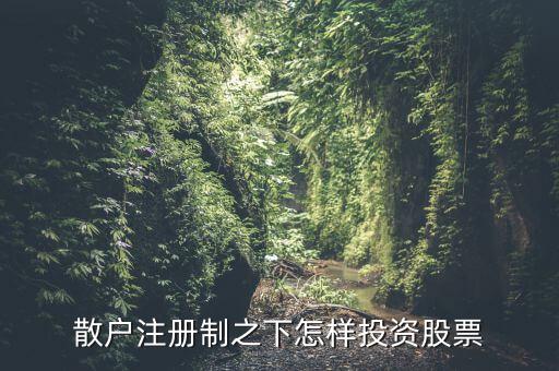 什么股票注冊制,散戶注冊制之下怎樣投資股票