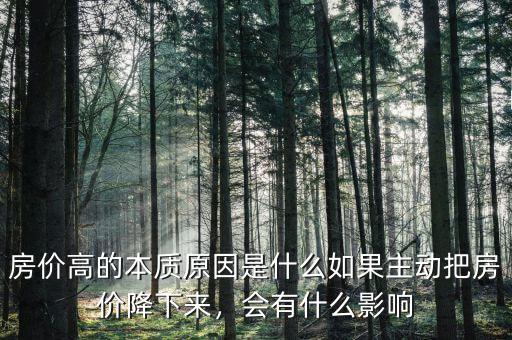 房價高的本質(zhì)原因是什么如果主動把房價降下來，會有什么影響