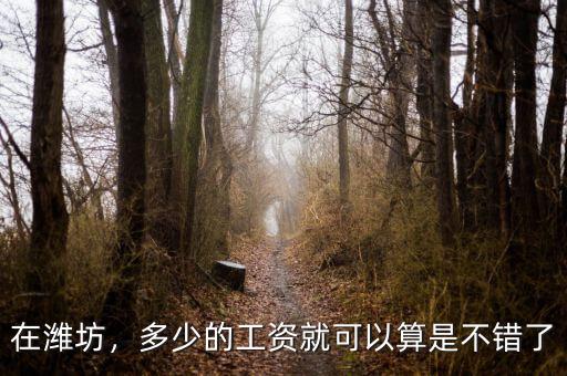 在濰坊，多少的工資就可以算是不錯(cuò)了