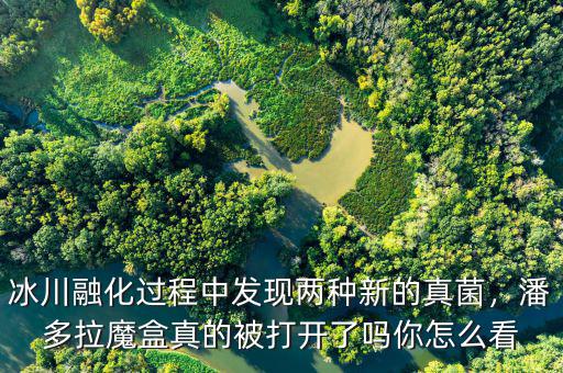 冰川融化過程中發(fā)現(xiàn)兩種新的真菌，潘多拉魔盒真的被打開了嗎你怎么看