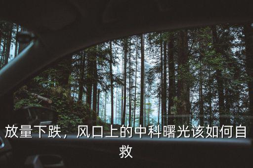 放量下跌，風(fēng)口上的中科曙光該如何自救