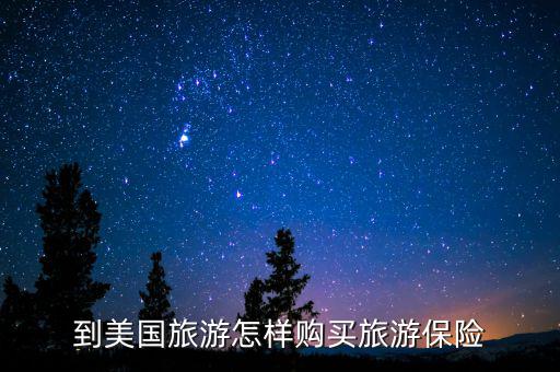 到美國(guó)旅游怎樣購(gòu)買(mǎi)旅游保險(xiǎn)