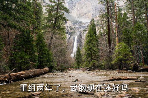 重組兩年了，武鋼現(xiàn)在還好嗎