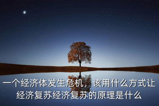 一個經(jīng)濟體發(fā)生危機，該用什么方式讓經(jīng)濟復(fù)蘇經(jīng)濟復(fù)蘇的原理是什么