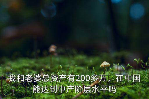 我和老婆總資產(chǎn)有200多萬，在中國能達(dá)到中產(chǎn)階層水平嗎