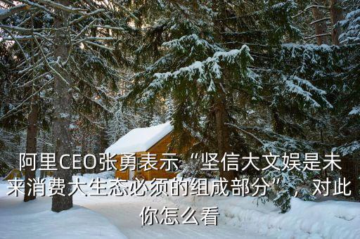 阿里CEO張勇表示“堅信大文娛是未來消費大生態(tài)必須的組成部分”，對此你怎么看