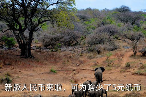 新版人民幣來啦，可為啥少了5元紙幣