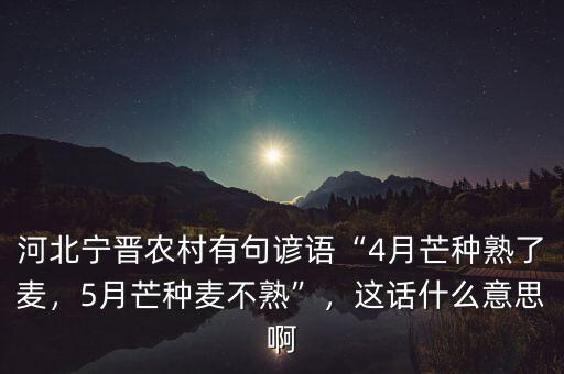 河北寧晉農(nóng)村有句諺語(yǔ)“4月芒種熟了麥，5月芒種麥不熟”，這話什么意思啊