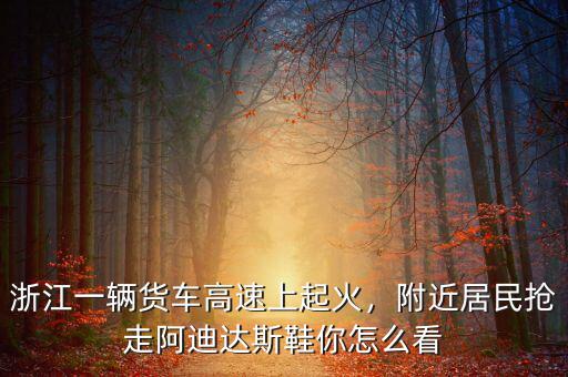 浙江一輛貨車高速上起火，附近居民搶走阿迪達(dá)斯鞋你怎么看