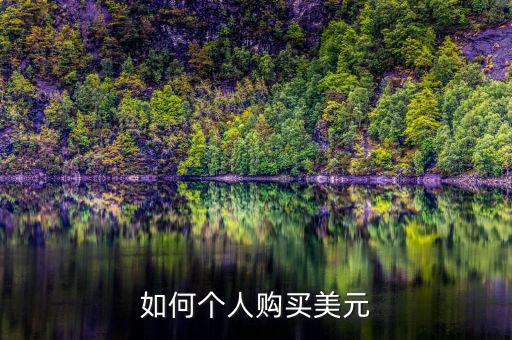 如何個(gè)人購買美元