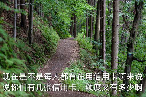 現(xiàn)在是不是每人都有在用信用卡啊來(lái)說(shuō)說(shuō)你們有幾張信用卡，額度又有多少啊