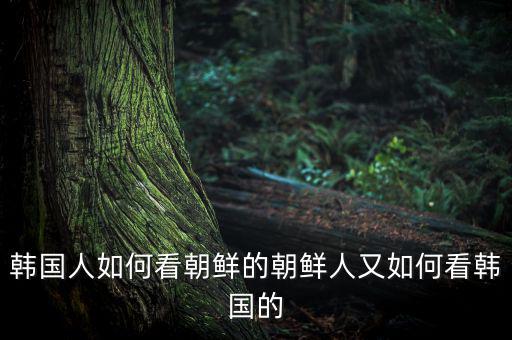 韓國的基礎設施怎么樣,真實的韓國生活是怎樣的