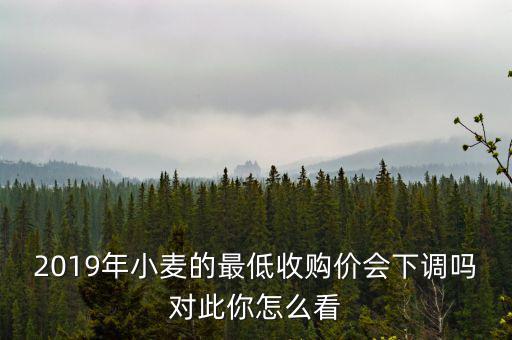 2019年小麥的最低收購價會下調(diào)嗎對此你怎么看