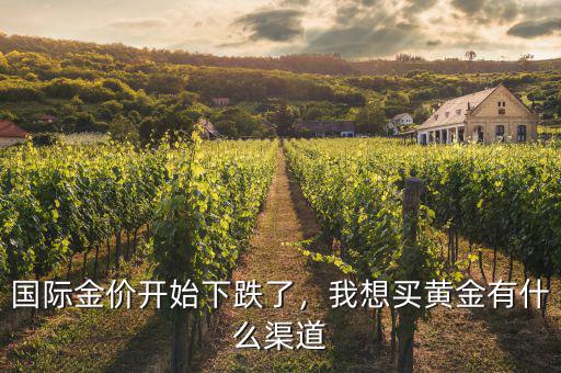 國(guó)際金價(jià)開始下跌了，我想買黃金有什么渠道