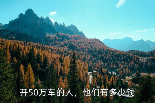 開50萬車的人，他們有多少錢