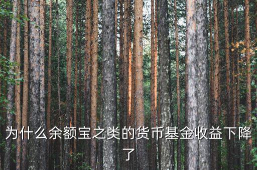 為什么余額寶之類(lèi)的貨幣基金收益下降了