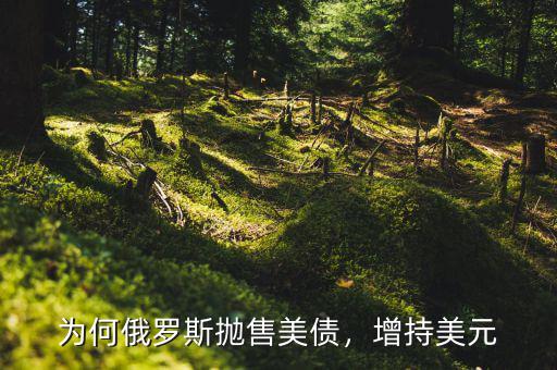 為何俄羅斯拋售美債，增持美元