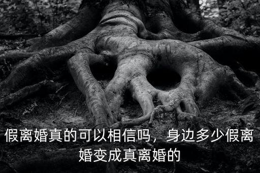 假離婚真的可以相信嗎，身邊多少假離婚變成真離婚的