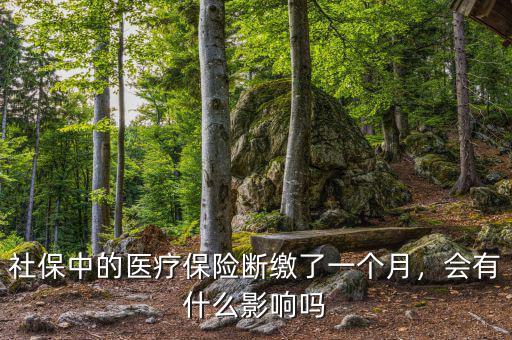 社保中的醫(yī)療保險(xiǎn)斷繳了一個月，會有什么影響嗎
